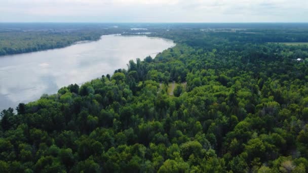 Εναέρια Άποψη Του Δάσους Και Του Ποταμού Πρωί — Αρχείο Βίντεο