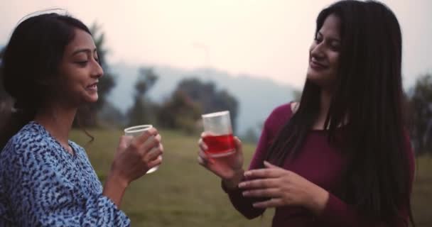 Due Donne Che Bevono Vino Nel Parco — Video Stock