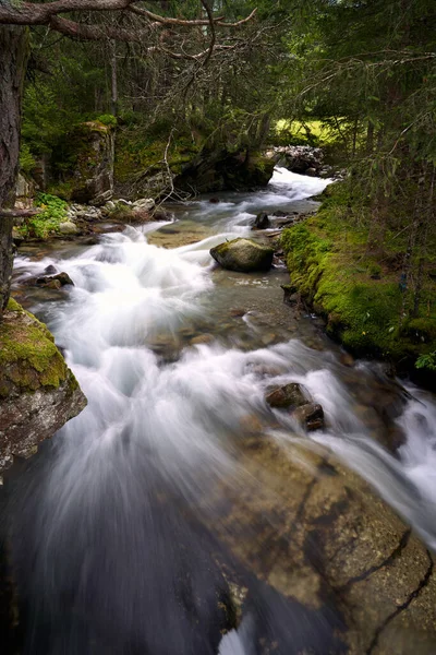 Plan Vertical Puissant Ruisseau Fluvial Qui Coule Milieu Forêt Entouré — Photo