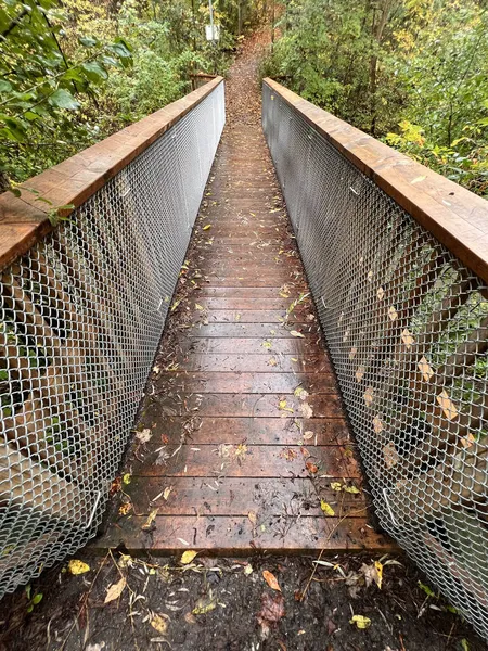 Eine Holzfußbrücke Wald — Stockfoto