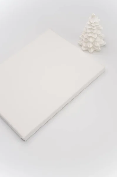 Elegante Kerstversiering Schilderdoek Met Spint Voor Tekst Een Wit Oppervlak — Stockfoto