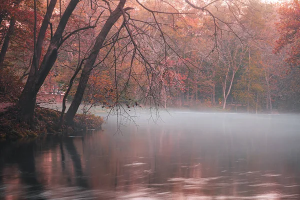 Красивый Пейзаж Осенних Цветов Красными Желтыми Оранжевыми Деревьями Озера — стоковое фото