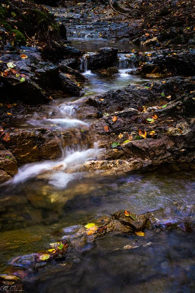 Eine Vertikale Aufnahme Eines Flusslaufs Der Belgischen Ardennenwald Nach Unten — Stockfoto