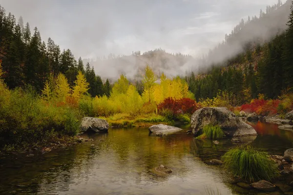 Ένα Φθινοπωρινό Δάσος Και Ένα Ήρεμο Ποτάμι Ένα Ομιχλώδες Πρωινό — Φωτογραφία Αρχείου