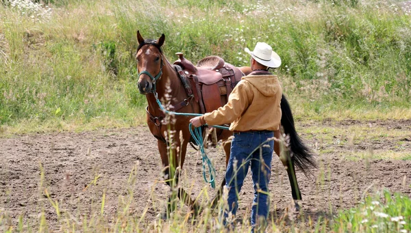 Egy Cowboy Egy Lóval Mezőn — Stock Fotó