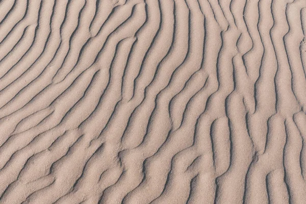 Üzerinde Çizgiler Olan Bir Kum Manzarası — Stok fotoğraf
