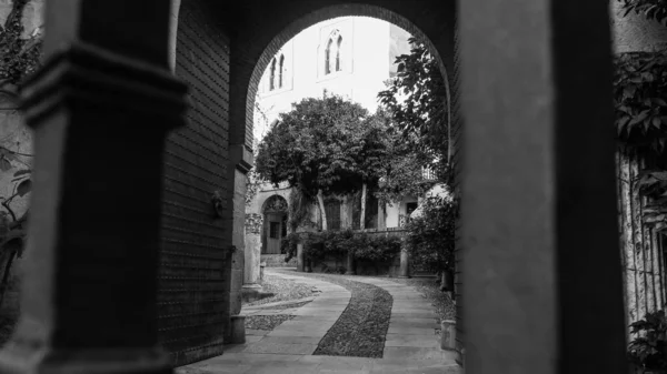 Uma Imagem Tons Cinza Vale Arcaico Que Leva Edifício Árvores — Fotografia de Stock