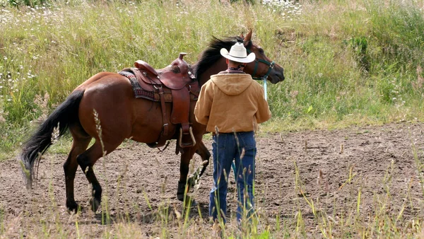 Ein Cowboy Mit Pferd Auf Dem Feld — Stockfoto