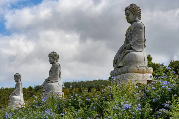 Starożytne Posągi Buddy Ogrodzie Zen — Zdjęcie stockowe