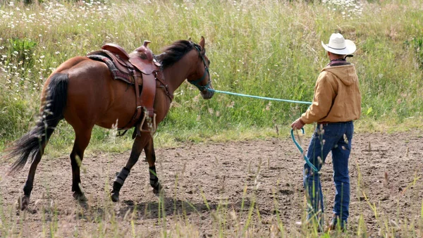 Egy Cowboy Egy Lóval Mezőn — Stock Fotó