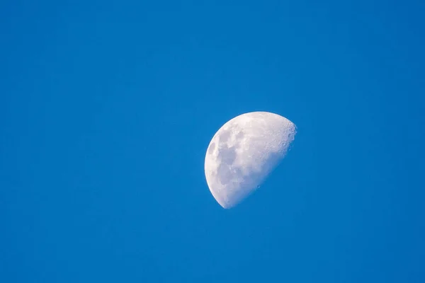 半月形的低角度镜头在蓝天的映衬下拍摄 — 图库照片