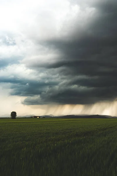 Vertikal Bild Ett Odlat Fält Den Regniga Himlen — Stockfoto