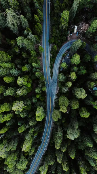 Ein Blick Von Oben Auf Eine Landstraße Inmitten Eines Waldes — Stockfoto