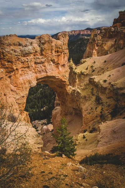 Bryce Canyon Zjednoczone Państwa Maja 2016 Piękny Widok Łuk Trzcinę — Zdjęcie stockowe