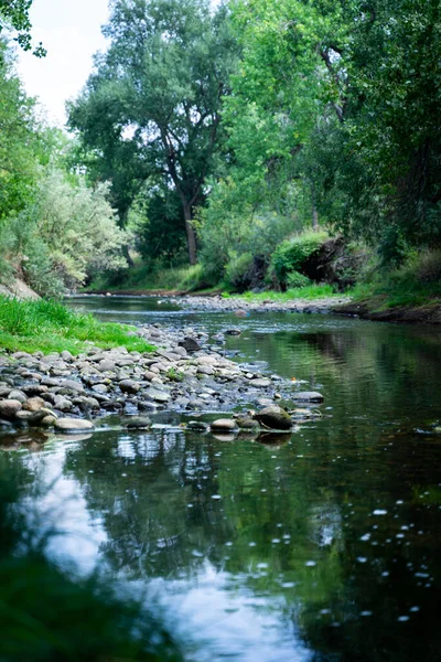 Μια Κάθετη Λήψη Ενός Ποταμού Βρύα Ένα Δάσος — Φωτογραφία Αρχείου