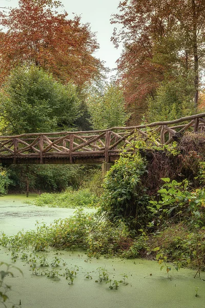 Eine Vertikale Aufnahme Einer Magischen Holzbrücke Umgeben Von Üppigem Wald — Stockfoto