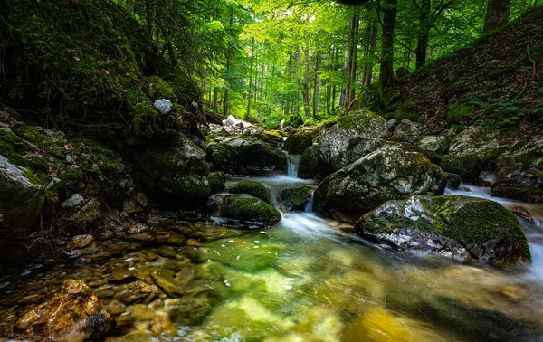 Красивые Водопады Посреди Тропического Леса — стоковое фото