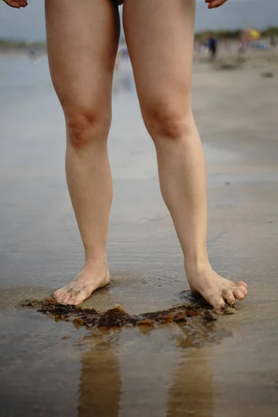 砂浜に立っている人の垂直ショット — ストック写真