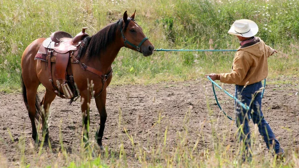 Egy Cowboy Egy Lóval Mezőn — Stock Fotó