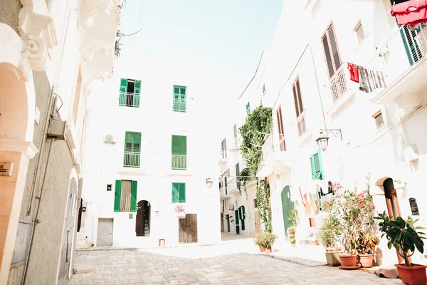 Een Verticaal Shot Van Oude Stenen Gebouwen Italië — Stockfoto