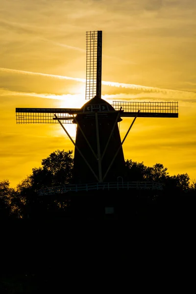 Plan Vertical Moulin Vent Historique Hollandais Stella Polaris Dans Village — Photo