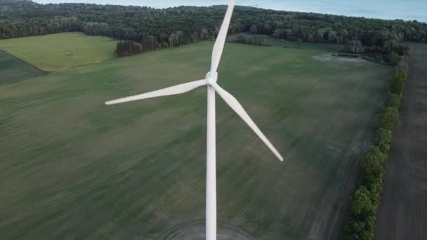 Parc Éoliennes Herbe Verte Ciel Bleu — Video