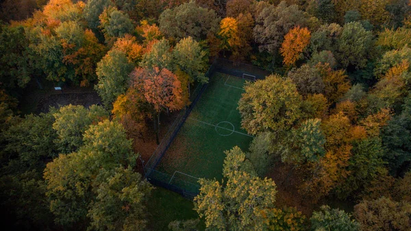 Letecký Snímek Fotbalového Hřiště Obklopeného Zlatým Lesem Kaunas Litva — Stock fotografie