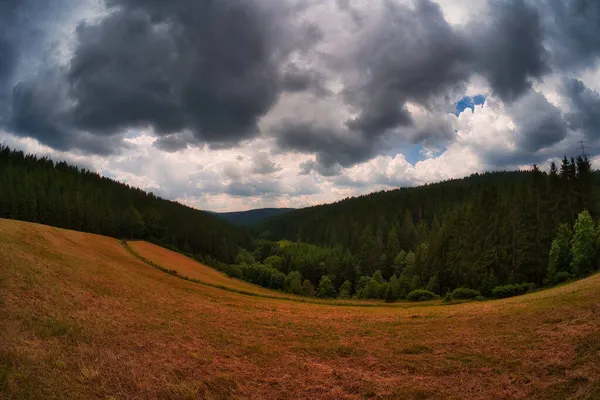 Een Landschap Van Groene Beboste Bergen Onder Bewolkte Lucht — Stockfoto