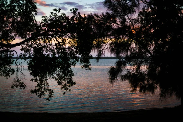 Lac Calme Avec Plein Arbres Sur Rivage Coucher Soleil — Photo