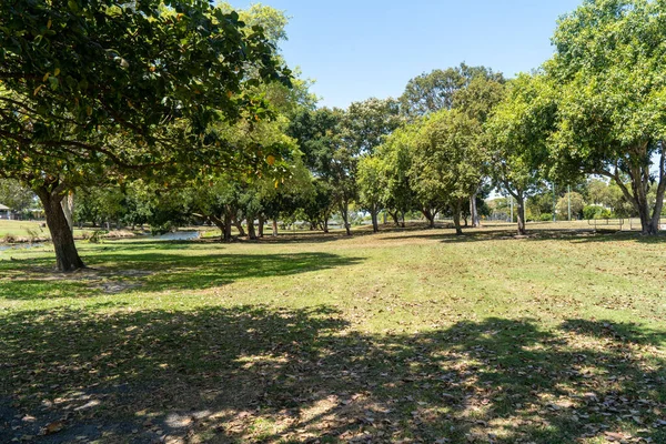 Bel Colpo Giardino Con Alberi — Foto Stock