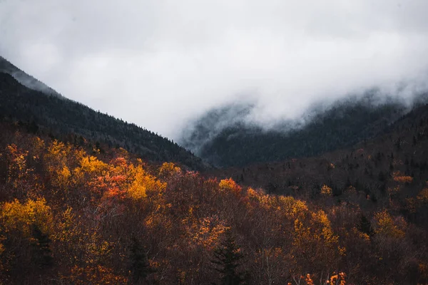 Een Prachtig Uitzicht Frankenland Notch State Park Frankenland Gebladerte Herfst — Stockfoto