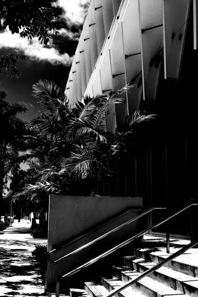 Grayscale Záběr Schody Moderní Budovy Obklopené Stromy Pod Slunečním Světlem — Stock fotografie