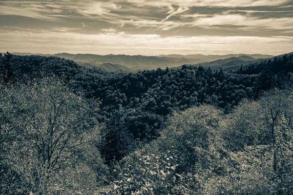 Een Grijs Zicht Bosbomen Groene Bergen Een Blauwe Bewolkte Lucht — Stockfoto