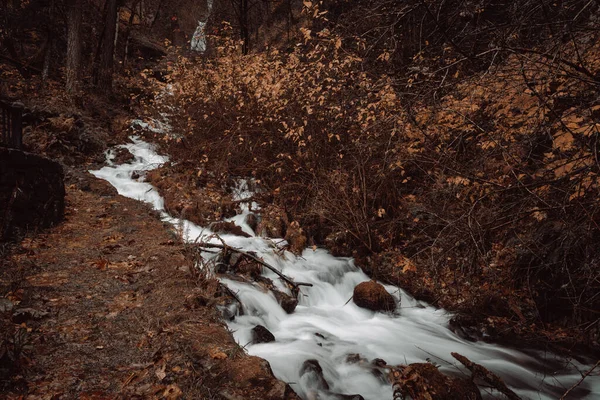 Ruisseau Avec Une Longue Exposition Dans Une Forêt Couverte Feuilles — Photo