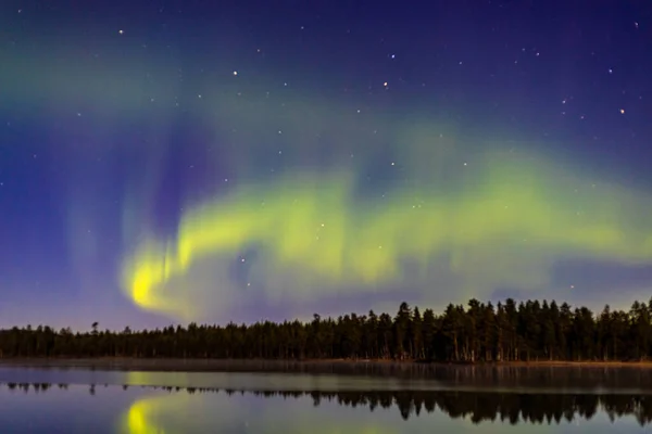 Beautiful Northern Lights Trees Calm Lake — Stock Photo, Image