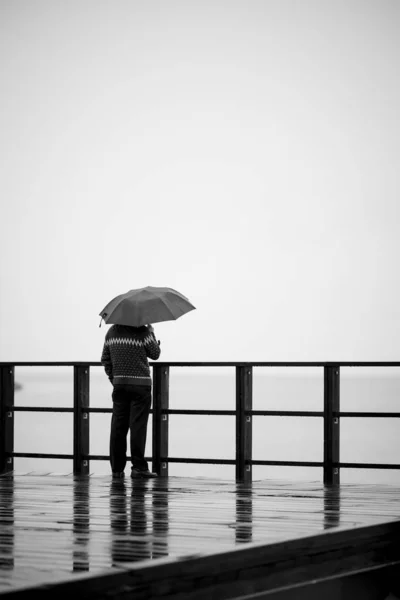 Una Vista Vertical Una Persona Con Paraguas Disfrutando Día Lluvioso — Foto de Stock