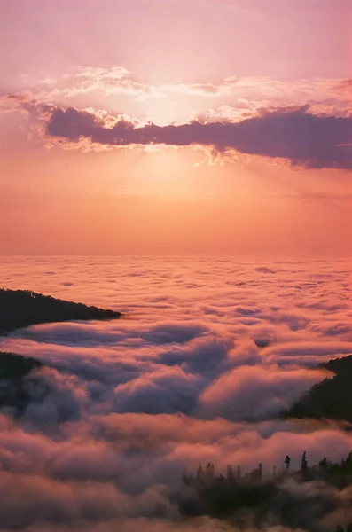 美しい雲と夕日の空の垂直ショット — ストック写真