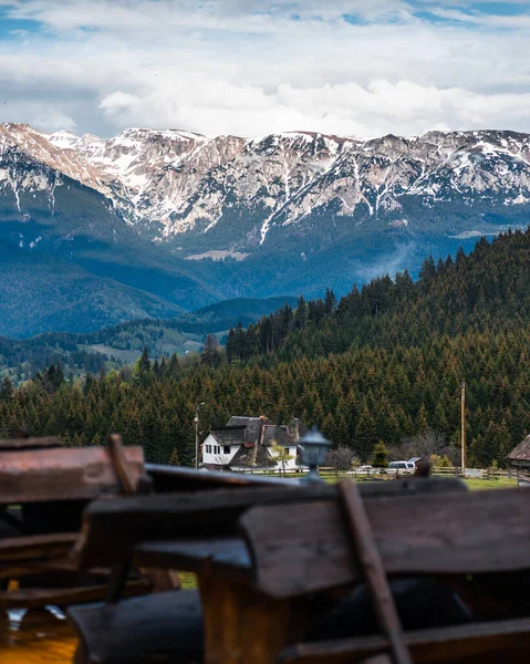 Ein Schöner Blick Auf Ein Haus Wald — Stockfoto