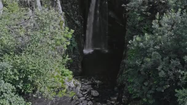 Hermosa Vista Del Bosque — Vídeo de stock