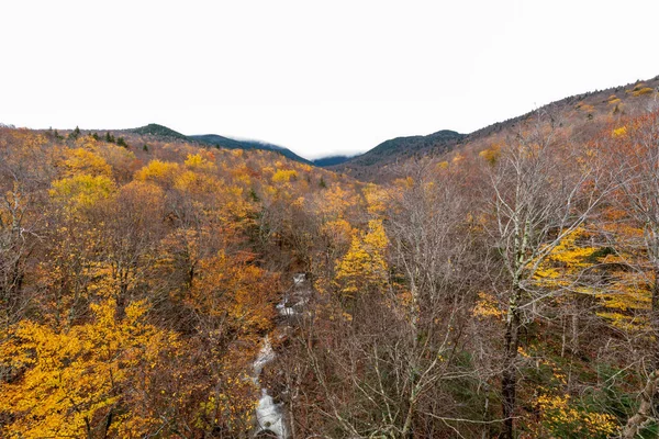 Belle Scène Bassin Franconia Notch State Park Lincoln Rivière Pemigewasset — Photo