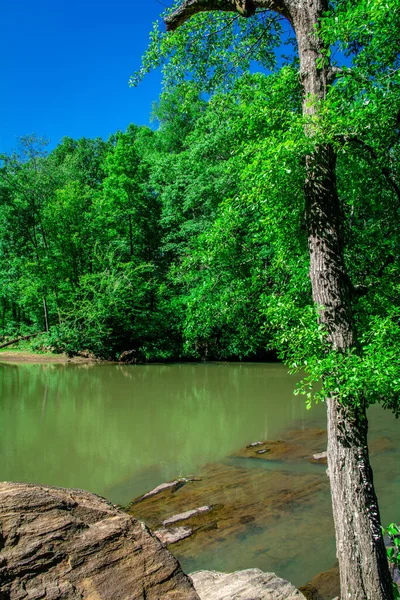 Beautiful Green Landscape Calm Lake Sunny Day — Stock Photo, Image