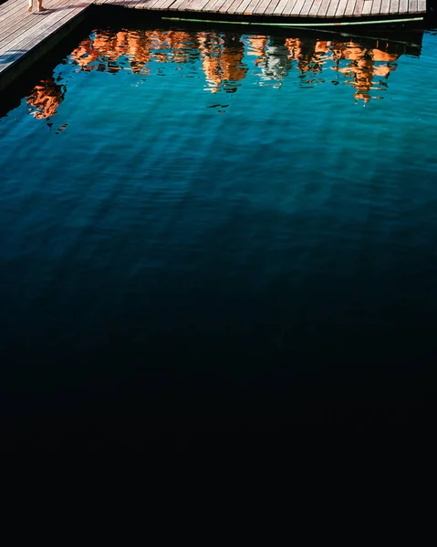 수영장의 — 스톡 사진