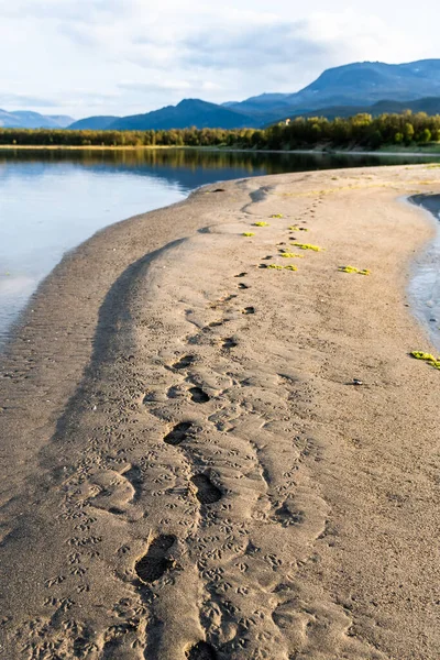 Dağlarla Çevrili Bir Göl Kenarındaki Yürüyüş Yolunun Dikey Görüntüsü — Stok fotoğraf