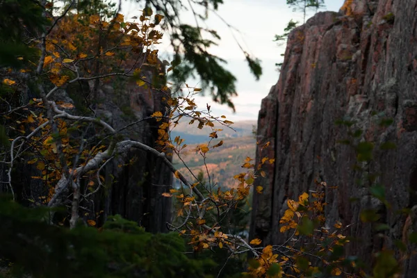 Une Belle Vue Sur Paysage Automne Avec Des Falaises Des — Photo