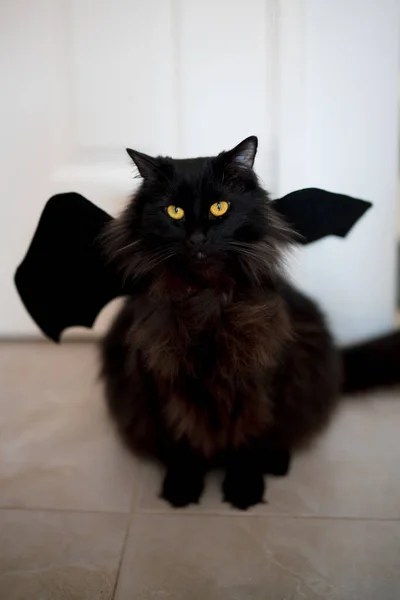 A vertical shot of a black with bat wings and yellow eyes