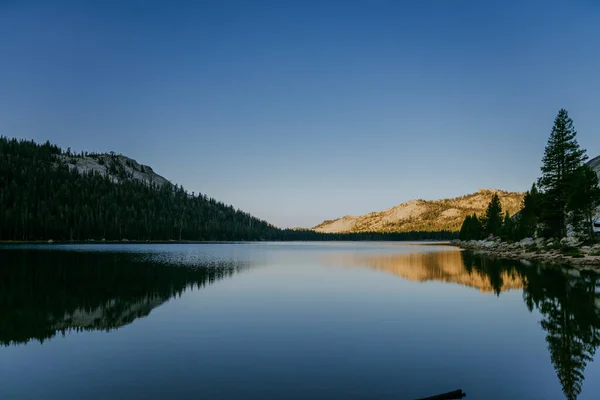 Tenayasjö Som Speglar Den Täta Vegetationen Och Kullarna Yosemite National — Stockfoto
