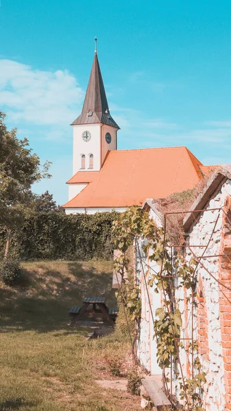 Вид Башню Часовни Середине Виноградников Врбице Чехия — стоковое фото