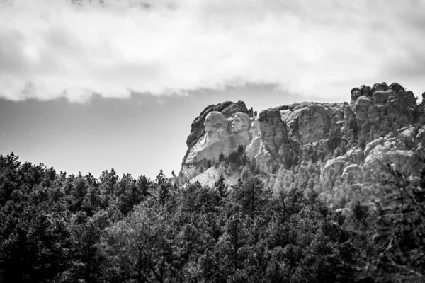 Gråskalig Bild Berg Och Skog — Stockfoto