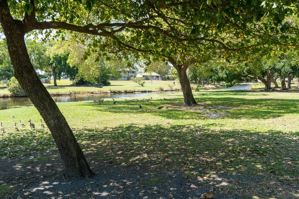 Schöne Aufnahme Eines Gartens Mit Bäumen — Stockfoto