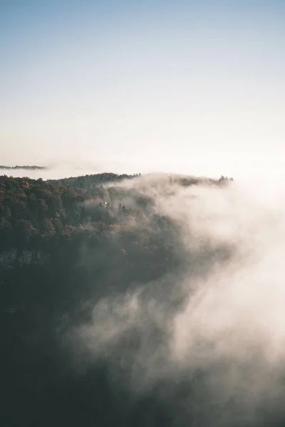 Hipnotyzujący Widok Mgły Nad Lasem Zadymioną Atmosferą — Zdjęcie stockowe